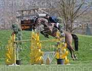 Philippaerts N Rochet TosTour2013- S5 2719 : Arezzo, Arezzo Equestrian Centre, Philippaerts Nicola, Rochet de la Vaulx, Toscana Tour 2013, foto di Stefano Secchi ©